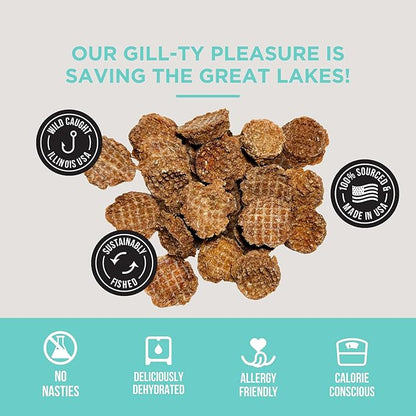 Natural Rapport Dehydrated Fish Dog Treats - The Only Silver Carp Fish Chips Dogs Need - All Natural Dog Treats for Small and Large Dogs (3 oz)