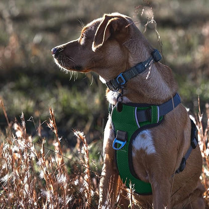 Embark Adventure Medium Dog Harness – No-Pull, Reflective Trim, Military-Grade Nylon, Front Clip with Gel-Lined Handle