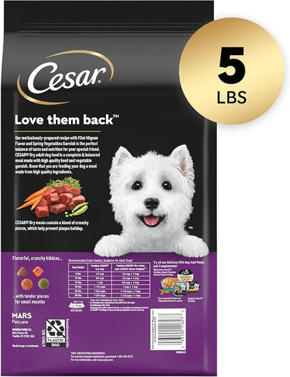 Cesar Small Breed Dry Dog Food for Small Dogs, Filet Mignon Flavor and Spring Vegetables Garnish, 5 lb Bag