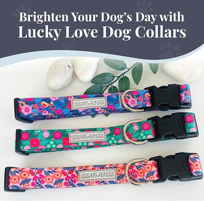 Lucky Love Dog - Easy Click Buckle Dog Collar with Leash Set Combo, Durable & Comfortable for Male & Female Dogs, Pet Collar for Large Dogs, Secure Fit - Floral Rosie Combo, Large