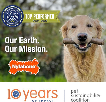 Nylabone Nubz Natural Dog Chew Treats for Large Dogs, Long Lasting Dog Bones Made in USA, Chicken Flavor Breath Freshener Dental Chews, for Dogs Over 30 lbs. (20 Count)