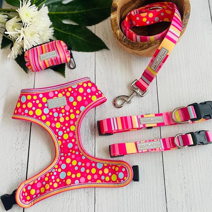 Lucky Love Cute Dog Collar for Girl Dogs - Colorful Stripes, Yellow, Pink, Blue - Large, Molly Collar