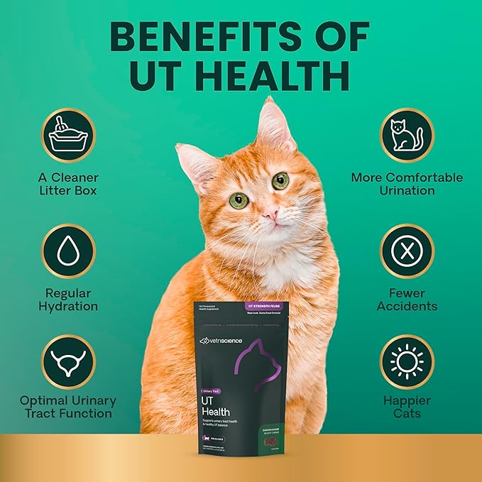 VetriScience UT Health Chews, UT Strength Cranberry and D-Mannose Bladder & Urinary Tract Supplement for Cats, With Bromelain and Probiotics, Chicken, 60 Count
