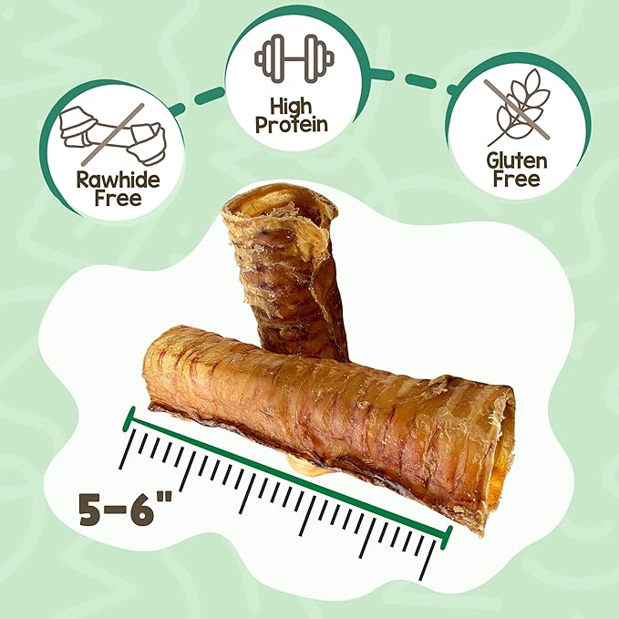 Nature Gnaws Beef Trachea Chews for Dogs 6" (6 Count) - Long Lasting Natural Crunchy Dog Chew Bones - Rawhide Free
