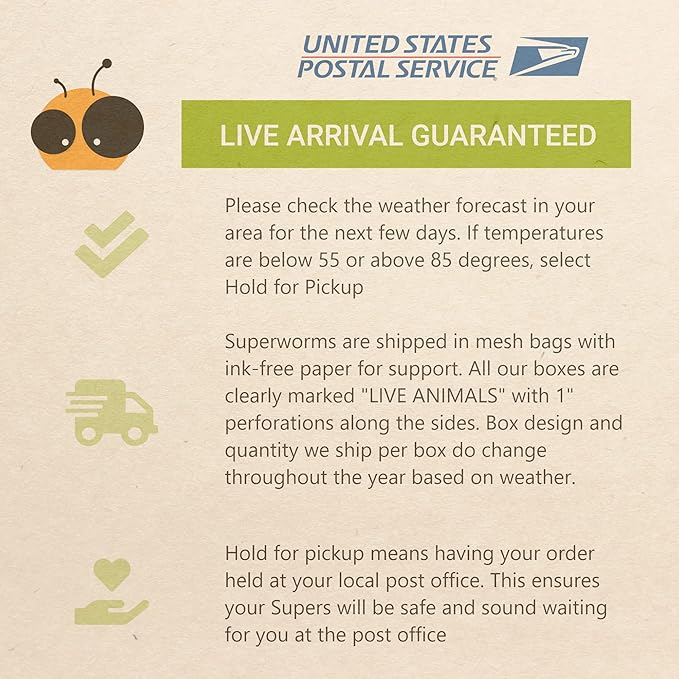 Live Superworms - 250 Large - Live Arrival Guaranteed