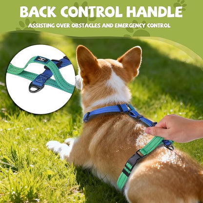 Roses&Poetry Dog Harness Small Sized Dog, 6 Point Adjustable Fit No Pull Harness with Handle for Control and Easy Walking, Reflective Pet Halter Harnesses（Bluegreen-S）