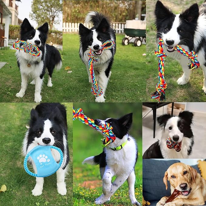 XLMYS Dog Toys for Aggressive Chewers 13 Pack，Indestructible Tug of War Toys for Small, Medium, Large Dog Breeds, Teeth Cleaning Chew Toys Pet Interactive Rope Toys