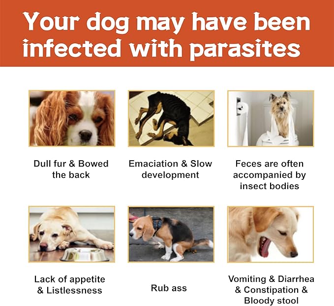 Flea and Tick Prevention for Dogs, Flea and Tick Treatment for Large Dog, Flea & Tick Control, 45-88 Pounds, 6 Doses