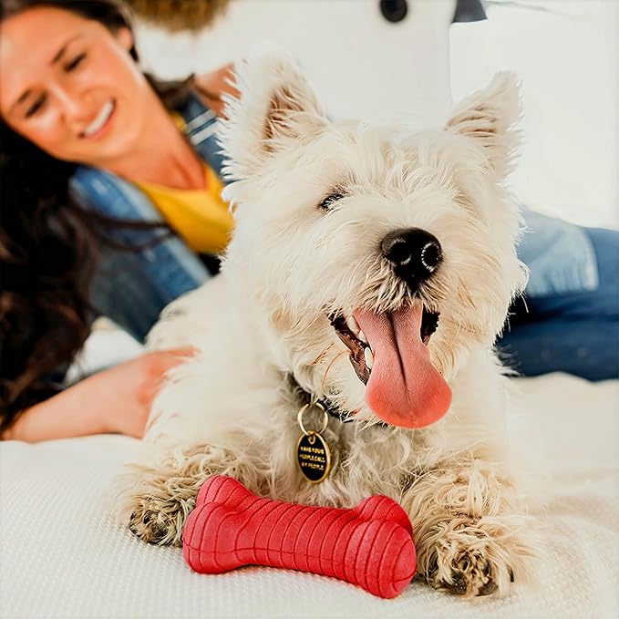 Playology Dog Toys | Dual Layer Bone Durable Chew Toy Bone for Dogs | Medium Beef Scented Toy - Easy to Clean and Made from Non Toxic Materials