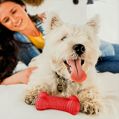 Playology Dog Toys | Dual Layer Bone Durable Chew Toy Bone for Dogs | Medium Beef Scented Toy - Easy to Clean and Made from Non Toxic Materials