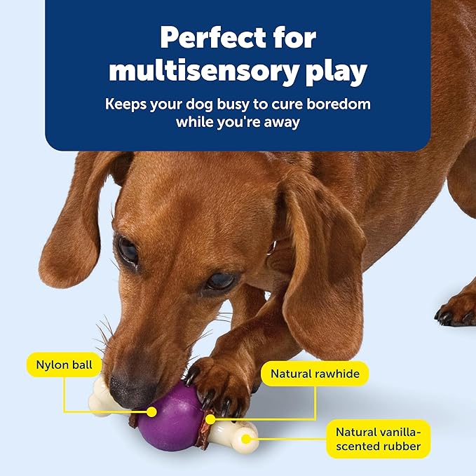 PetSafe Busy Buddy Bouncy Bone - 3-in-1 Adjustable Slow Feeder Toy with Refillable Treat Rings - Cleans Teeth & Gums, Cures Boredom & Slows Down Eating Habits - Small - for Dogs Under 10 lb