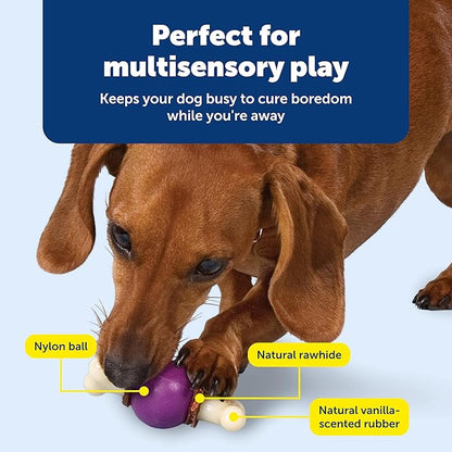 PetSafe Busy Buddy Bouncy Bone - 3-in-1 Adjustable Slow Feeder Toy with Refillable Treat Rings - Cleans Teeth & Gums, Cures Boredom & Slows Down Eating Habits - Small - for Dogs Under 10 lb