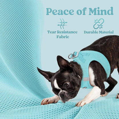 rabbitgoo Small Dog Harness, Step-in Soft Mesh Puppy Vest with Safety Buckle, Breathable Reflective Pet Harness for Small Sized Dogs, Mint Blue M