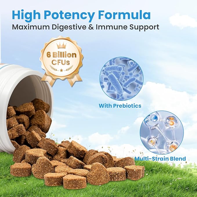 Probiotics for Dogs, Digestive Immune System Support Supplements Gut Health, Flora, Pet Dog Probiotic Supplement Soft Chews with Prebiotics for Allergy Upset Stomach, Puppy Probiotics