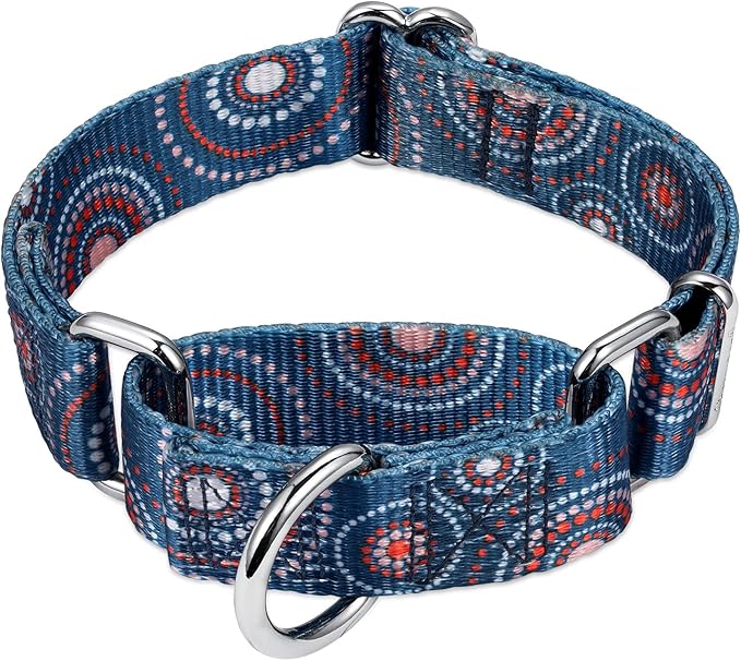 Martingale Collar Floral Print Dog Collar, No Pull Pet Collar, Heavy Duty Adjustable Dog Collar, Medium, Neck 14 Inch to 21 Inch, Firework Dots-Indigo