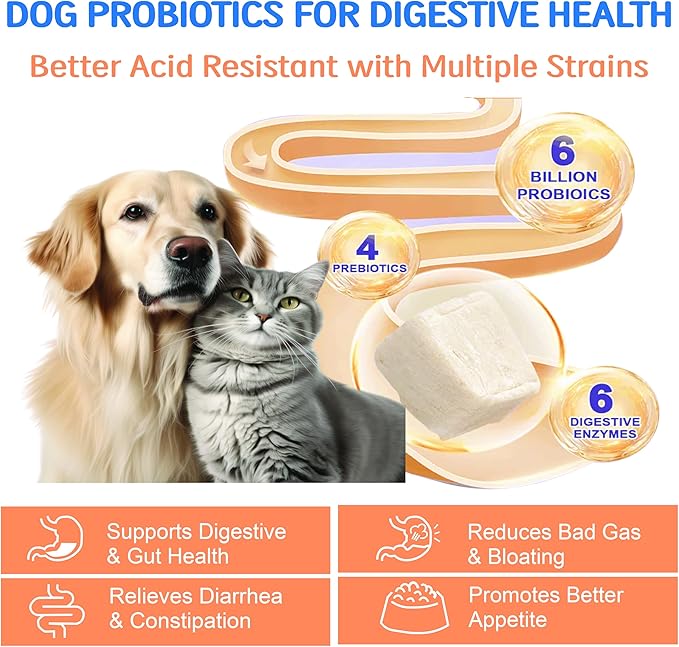 Freeze-Dried Probiotics for Dogs with Enzymes, Omega-3 & Zinc - 6B CFUs, 12 Strains + Prebiotics for Gut, Skin & Coat, Immune & Sensitive Stomach Support - Chicken Flavor, 120 Chews