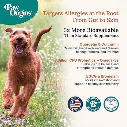 Paw Origins Dog Allergy Chews (60 Ct.) - Clear-Allergies Itch for Immune & Gut Support - Dog Allergy Relief Chews with 3 Billion CFU Probiotic Blend and Omega 3 for Seasonal Allergies - Beef Flavor