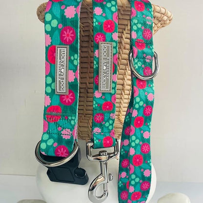 Lucky Love Dog Martingale Dog Collar & Leash - Adjustable, No-Slip, Durable, Comfortable, Soft Webbing, & Stylish Patterned Collar & Leash Set for Male and Female Dogs - Penny Combo, Large