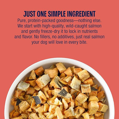 Muenster New Freeze Dried 100% Salmon Bites - Only One Ingredient Raw Salmon Freeze Dried for a Healthy and Delicous Treat. 3 Ounce (Pack of 1)