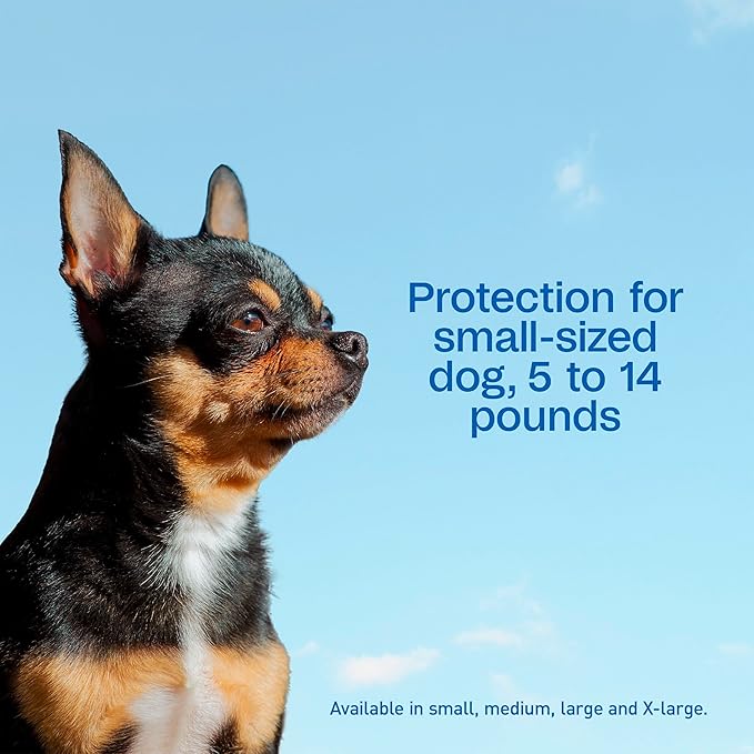ADAMS Plus Flea & Tick Prevention Spot On for Dogs, Toy/Small Dog, Kills Fleas & Ticks (Brown Dog/Deer Ticks), Kills and Repels Mosquitoes, Prevents Flea Infestations, 3-Month Supply, 3 Pack