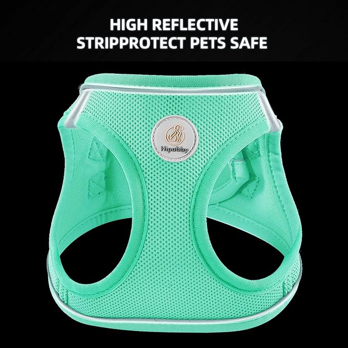 Hipubby Dog Harness and Leash Set, No Pull Soft Mesh Puppy Harness for Small Medium Dogs, Cats - Step in Reflective Breathable Lightweight Vest Harness for Walking, Training - Green, L