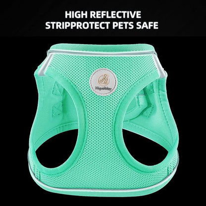 Hipubby Dog Harness and Leash Set, No Pull Soft Mesh Puppy Harness for Small Medium Dogs, Cats - Step in Reflective Breathable Lightweight Vest Harness for Walking, Training - Green, L