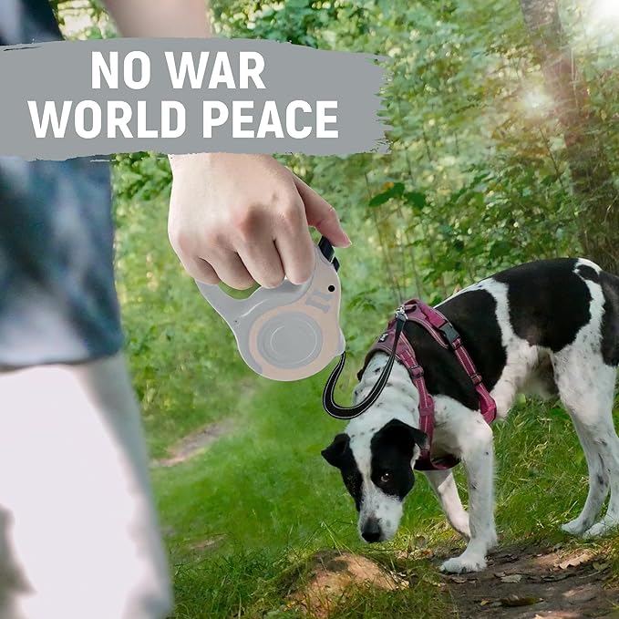 Retractable Dog Leash Automatic Telescopic Tractor Dog Tape, Pet Tape 10/16 FT Durable and Convenient, with Non-Slip Handle, Suitable for Small and Medium-Sized Dogs