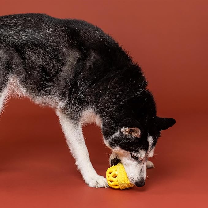 Fringe Studio Rubber Dog Toy, Pining for You, Pet Shop Collection (519052)