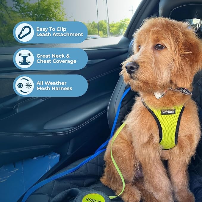 Best Pet Supplies Voyager Step-in Air All Weather Mesh Harness and Reflective Dog 5ft Leash Combo with Neoprene Handle, for Small, Medium and Large Breed Puppies - Set (Lime/Black Trim), Medium