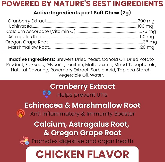 Dog UTI Treatment Cranberry Supplement for Dogs, 240 Soft Chews - Natural Urinary Tract Infection Support and Healthy Bladder Control – Made with Echinacea and Vitamin C (2 Packs of 120)