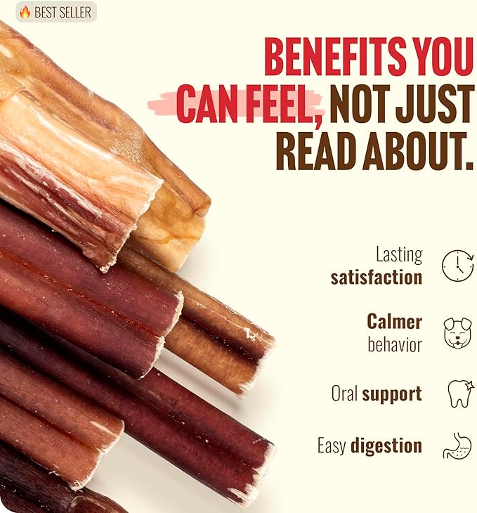 Natural Farm Odor Free Bully Sticks (2-3 Inch, 1 Pound) for Small & Medium Dogs - 100% Beef Chews for Pups, Non-GMO, Grain-Free, Fully Digestible Long Lasting Dog Treats