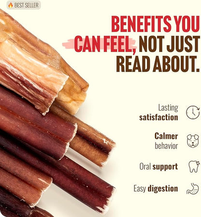 Natural Farm Odor Free Bully Sticks (2-3 Inch, 1 Pound) for Small & Medium Dogs - 100% Beef Chews for Pups, Non-GMO, Grain-Free, Fully Digestible Long Lasting Dog Treats
