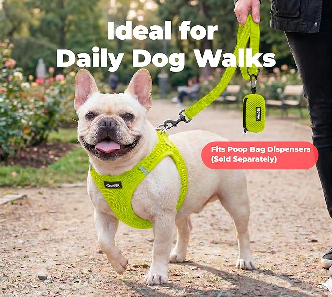 Best Pet Supplies Voyager Reflective Dog Leash or Collar with Neoprene Handle, for Small, Medium, and Large Breed Puppies, Cute and Heavy Duty for Walking, Running and Training - Lime Green (Leash), M