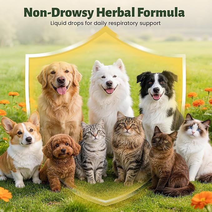 Kennel Cough Treatment Drop for Dogs &Cats,Help Wet and Dry Cough Relief,Seasonal Throat Discomfort, Natural Herbal Cough Liquid with Licorice,Ginger for All Breeds & Sizes,2 fl oz Bacon Flavor