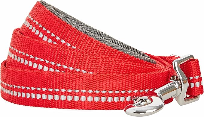 Blueberry Pet 3M Reflective Pastel Color Dog Leash with Soft & Comfortable Handle, 5 ft x 3/4", Red, Medium, Leashes for Dogs