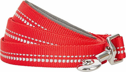 Blueberry Pet 3M Reflective Pastel Color Dog Leash with Soft & Comfortable Handle, 5 ft x 3/4", Red, Medium, Leashes for Dogs