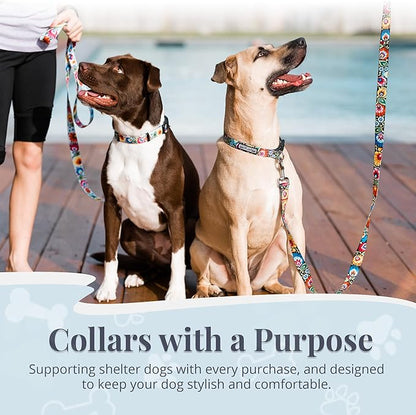 Lucky Love Dog - Adjustable Dog Collar with Easy Click Buckle for Small Dogs, Durable, & Comfortable for Male & Female Dogs, Pet Collar for Puppies & Adult Dogs - Blackbird, Small