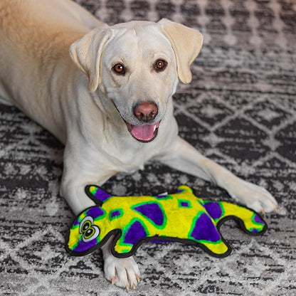 Outward Hound Durablez Gecko – Squeaky Plush Dog Toy, No Stuffing for Less Mess, Interactive & Tough, 4 Jumbo Squeakers, Puppies & Dogs, Large, 17.5"