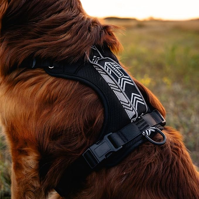 Wilderdog Lightweight Dog Harness with Reflective Straps - Medium - Black