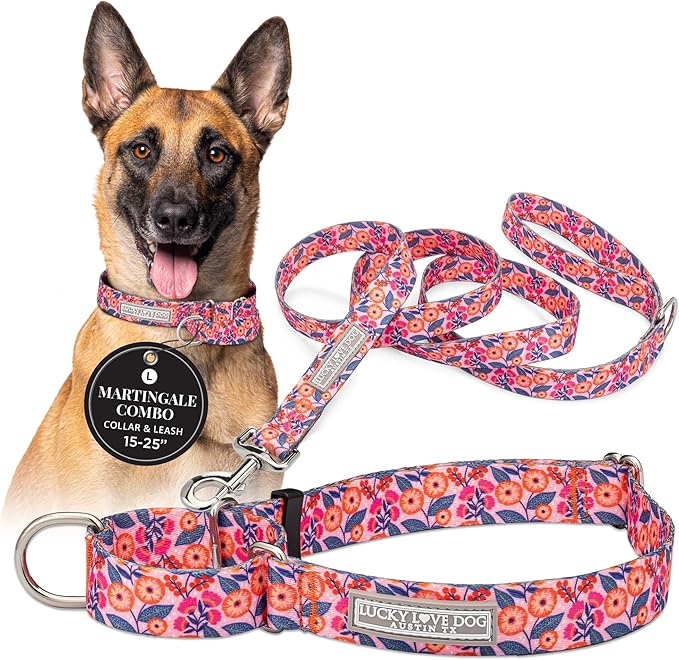 Lucky Love Dog Martingale Dog Collar & Leash - Adjustable, No-Slip, Durable, Comfortable, Soft Webbing, & Stylish Patterned Collar & Leash Set for Male and Female Dogs - Rosie Combo, Large