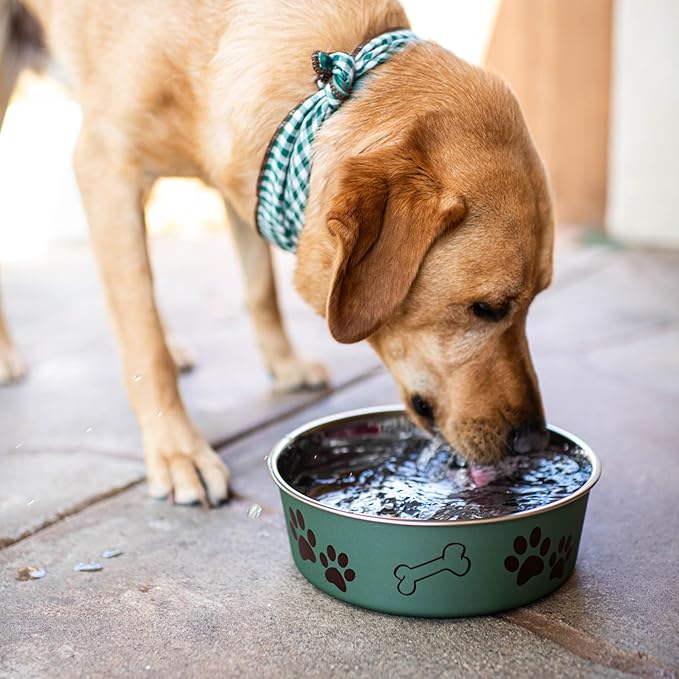 Loving Pets Bella Dog Bowls- Stainless Steel Dog & Cat Bowls - Spill Proof Dog Food Bowl, Cat Bowl, Puppy Essentials & Pet Supplies Great for Home & Travel (Large 35-65 lbs, Artichoke)