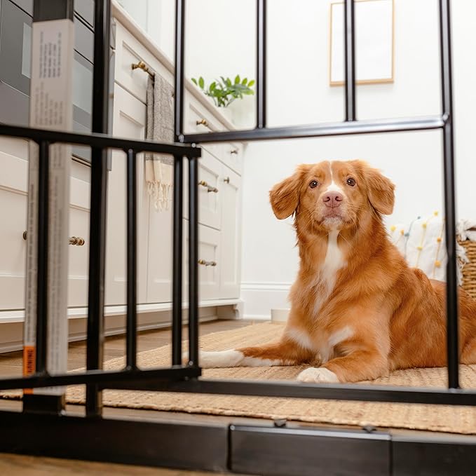 Carlson 29.5–36.5” Extra Wide Dog Gate with Small Pet Door, Walk-Through Pressure Mounted Metal Indoor Pet Safety Gate, Black, Tested and Trusted by Pet Parents, American Designed, American Owned
