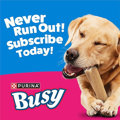 Purina Busy Bone Adult Dog Chew Bone Treats, Original - 10 ct. Pouch