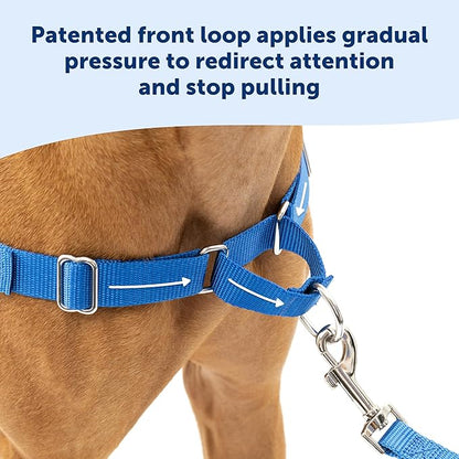 PetSafe Easy Walk Harness for Dogs - Pull-Free Walks - Patented Martingale Loop Design - Front Chest Leash Attachment - Comfort Straps - Breathable Harness Design - Small, Royal Blue/Navy Blue