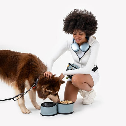OllyDog Superbowl | Collapsible Dog Travel Bowl | 2 Compartment Food & Water | Foldable| Portable Dog Bowl | Hiking, Camping (St. Lucia)