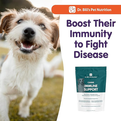Dr. Bill’s Canine Immune Support | Boosts Dog Immunity and Health with Colostrum, Beta Glucan, Turkey Tail Mushroom, Zinc & Vitamin C | Powder Supplement for Dogs of All Ages