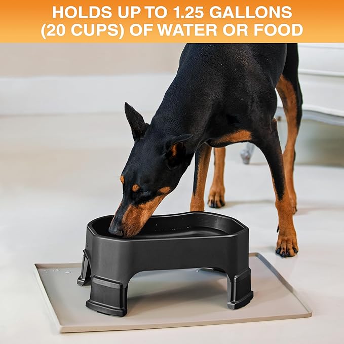 Neater Pet Brands Extra Large Water Bowl for Dogs, Elevated Outdoor Dog Water Bowl (1.25 Gallon XL Capacity), Big Trough Style Food Dish for Indoors or Outside, No Spill Large Dog Bowls, Black