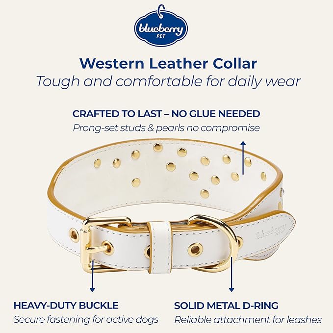 Blueberry Pet Western Dog Collar in Pearl White - Genuine Leather Dog Collars for Medium Dogs & Large Dogs with Floral Embroidery, Adjustable 18-22 Inch, Cowboy Style, Pearl Studs