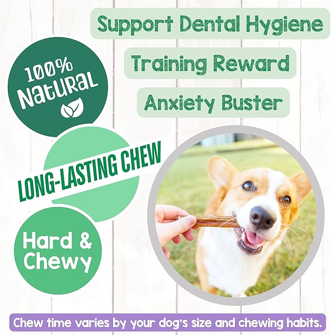 Nature Gnaws Thin Bully Sticks for Dogs 5-6" (8oz) - Mixed Thickness - Long Lasting for Small Dogs and Puppies - Natural Thin Beef Dog Chew Bones - Rawhide Free