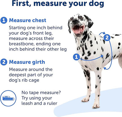 PetSafe Easy Walk Harness for Dogs - Pull-Free Walks - Patented Martingale Loop Design - Front Chest Leash Attachment - Comfort Straps - Breathable Harness Design - Small/Medium, Black/Silver